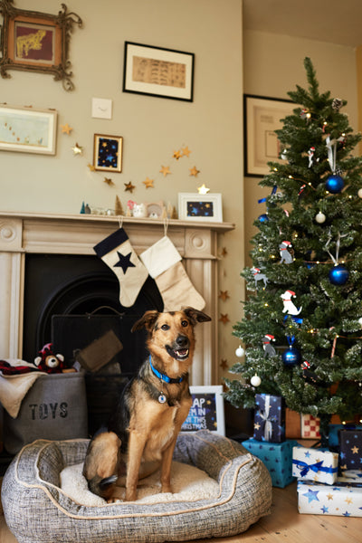 Gifts for Humans – https://test.shop.battersea.org.uk/